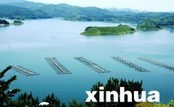 丹江口水库海拔？丹江口的海拔高度是多少米