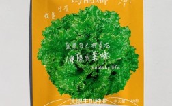 怎样种植玛丽娜？玛丽娜今天多少度温度