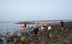荣成林家流村8月份最佳赶海时间？荣成4月份多少度