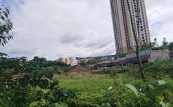 开县白鹤街道东华新宸楼盘？开州白鹤火电厂距开州多少