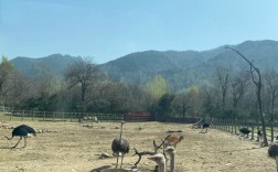 为什么秦岭南北气温不同？秦岭野生动物园气温是多少