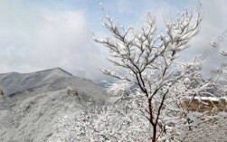 北京周边下雪了吗？北京明天后天多少度
