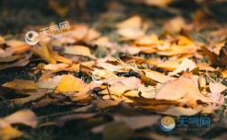 立秋后山西太谷还要热多久？山西太谷县冬季温度是多少