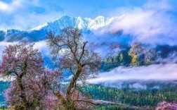 林芝市察隅县全年最高气温？西藏林芝最低气温多少度