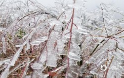 中国最大规模冻雨是哪一年？南方多少度可形成冻雨