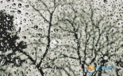海盐梅雨季节什么时间海盐湿度多少