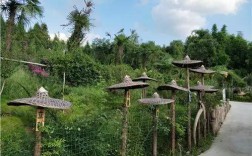 三台柳池的旅游景点？三台柳池到绵阳坐车要多少钱
