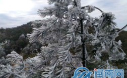 漳州下过雪吗？华安县最低温度是多少