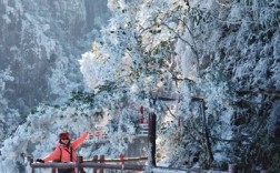 郴州莽山什么时候下雪？湖南莽山温度多少