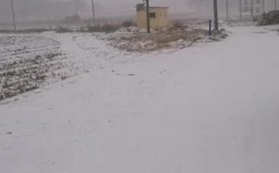 8月30号河北张家口下雪了吗？今张家口多少度