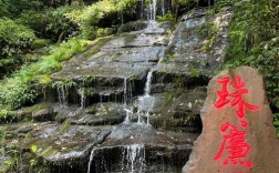 碧峰峡下雨能看见熊猫吗？碧峰峡明天天气多少