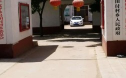 在农村干点什么好？有多少个田付村
