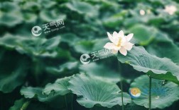 立夏暖和吗？立夏天气会多少度