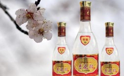 雨财成语？杏花特产立马发财酒多少钱