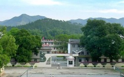 广东省河源市紫金县柏埔镇复兴村邮编是什么？紫金县到柏埔镇多少钱