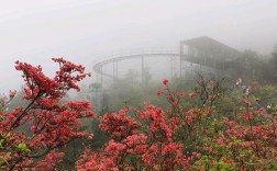磐安杜鹃花谷风景区要门票吗？高姥山风景区门票多少钱一张