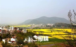 安徽省巢湖市无为县石涧太平玉林村邮编是什么？无为到石涧有多少公里