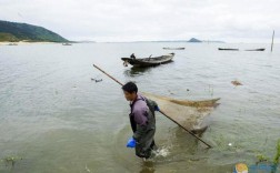 鄱阳湖水怎么降那么多？江西潘阳湖天气多少度