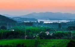 2022宜兴春茶何时上市？宜兴明天气温多少度
