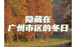 广州的冬天为什么还没有到来？广州市多少天没有冬天