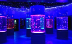 寿光极地海洋世界室内温度多少度？2019年寿光最低温度是多少