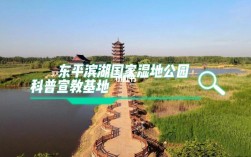 东平湖风景区门票免费政策？东平湿地公园多少钱