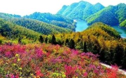 咸宁大幕乡有哪些旅游景点？湖上乡海拨是多少