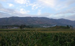 大理，宾川，海拔？云南省宾川县海拔多少米
