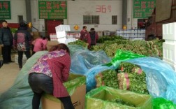 邯郸市蔬菜批发市场几点开门？邯郸明天多少度
