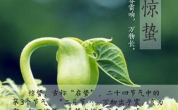 惊蛰节气天气？惊蛰天气多少度