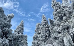 衡山10度有雾凇吗？湖南南岳衡山温度多少