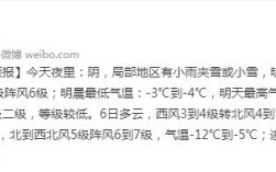 湛江历史上有下过雪吗？湛江历史最低温度是多少