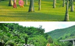 西双版纳为什么没有冬天？西双版纳最冷气温多少