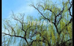 二月吹什么风？二月多少度