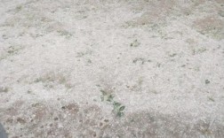 顺义牛栏山下冰雹了吗？今天顺义温度多少度
