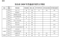 2020年乐山一中录取分数线？2020马踏镇有多少高考校生