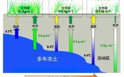东北三省冻土期多长？冬季土壤温度有多少度