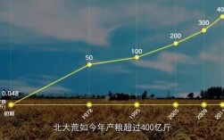 东北地区的自然环境特征？北大荒气温多少