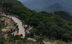 梧桐山，海拔？梧桐山多少度
