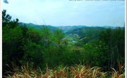 丰城哪里的景色美，哪里有山爬？丰城到蕉坑多少公里