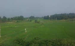 信阳的气候分析？河南光山今天多少度