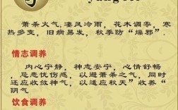 五一前后适合种植哪些菜？五一去日照天气多少度