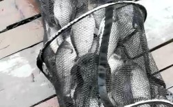 什么叫爆护？大丰气压是多少