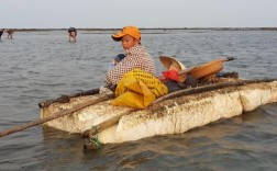 徐闻8月份可以赶海吗？徐闻夏天最热多少度