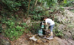 龙岩市区哪里能装山泉水？龙岩到白沙打的多少钱