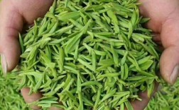 诸暨名茶好吗？杭州诸暨气温全年多少度