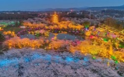 武汉赏花时间表一览？武汉市的春夏秋冬各有多少天