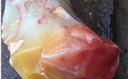 内蒙古哪种玉石最好？前期到大佘太多少公里