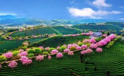 广西2023三月还会冷吗？永福县历史最低温度是多少