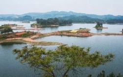 想知道: 眉山市，从眉山市东坡区林业局到仁寿县黑龙滩风景区财政局怎么坐公交？黑龙滩到眉山多少公里